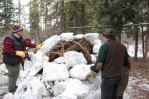 Kochanski Igloo