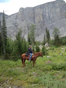 Horse back riding in the back country